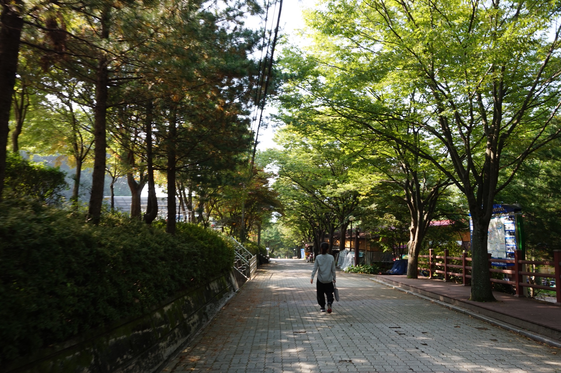 春川市观光地地图