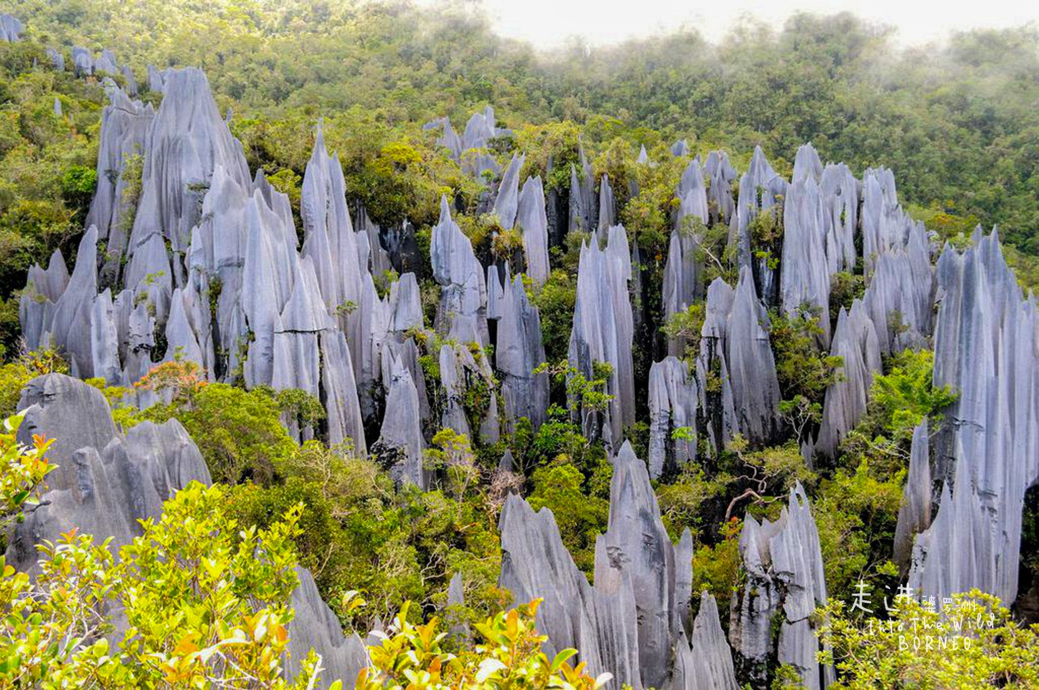 砂拉越游记图片