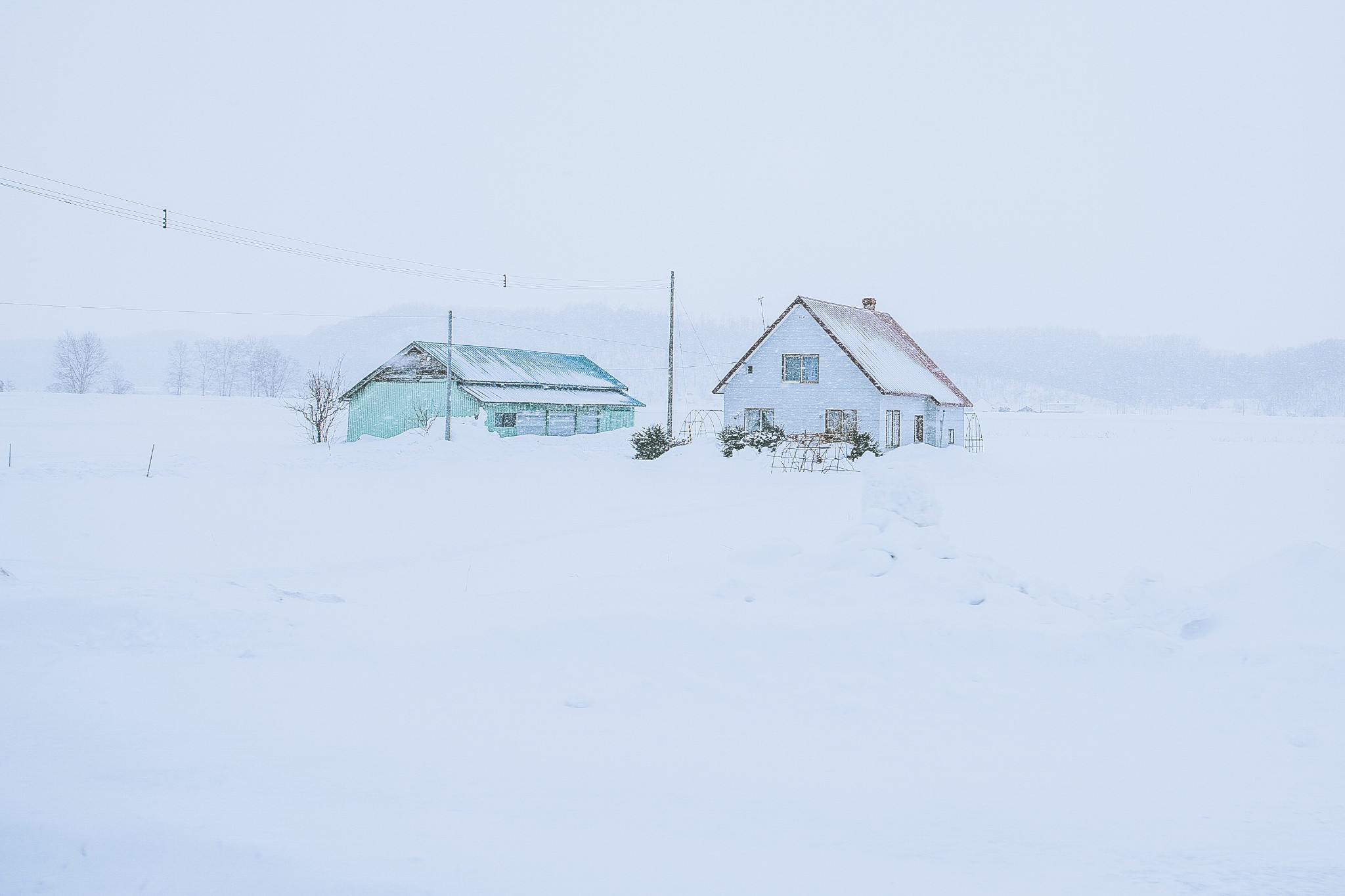 北海道自助遊攻略