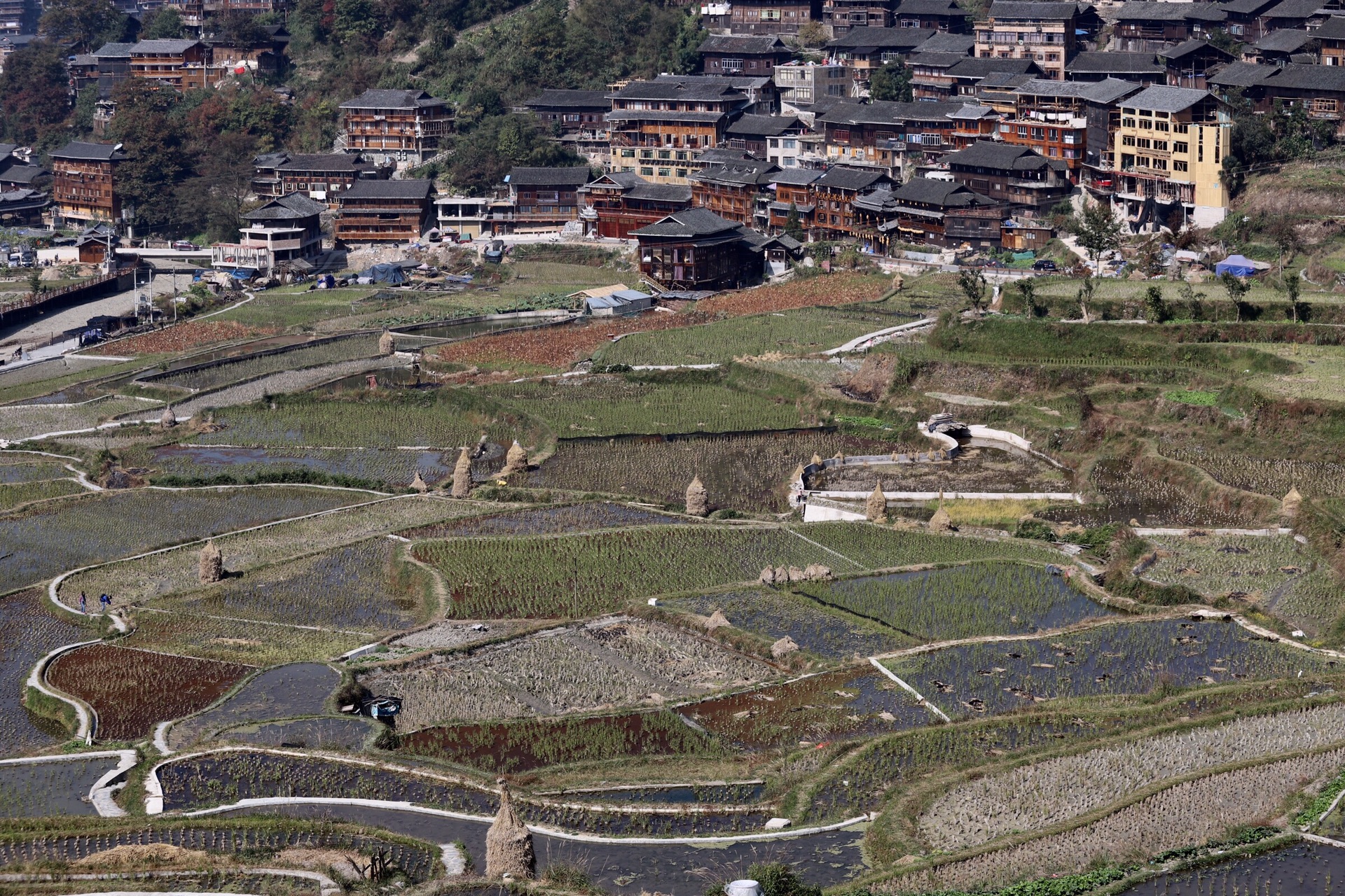 苗族人口居住第一省份_图表 贵州一煤矿冒顶事故(2)