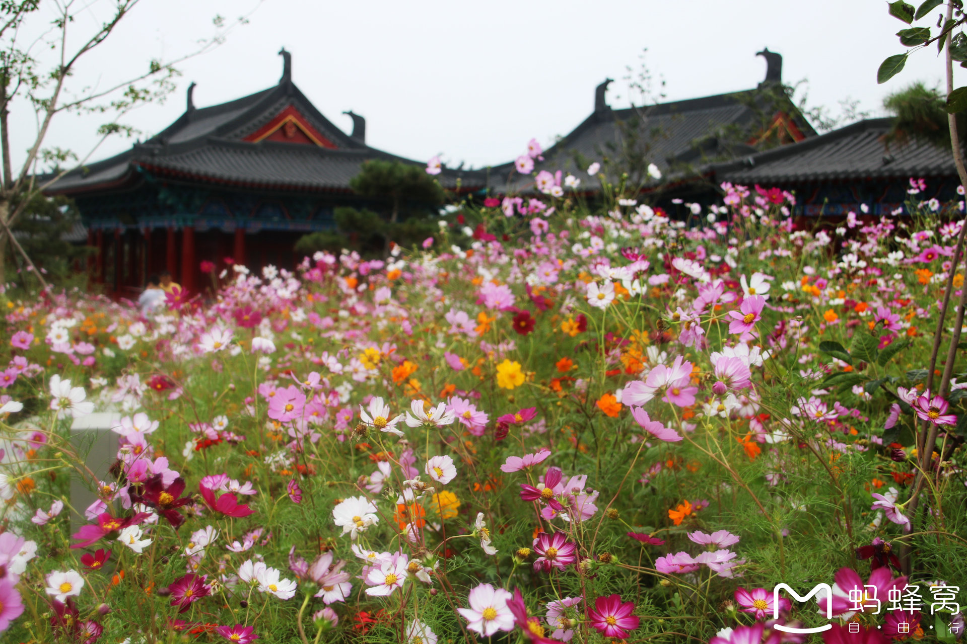 鄭州園博園怎麼玩門票交通參觀攻略