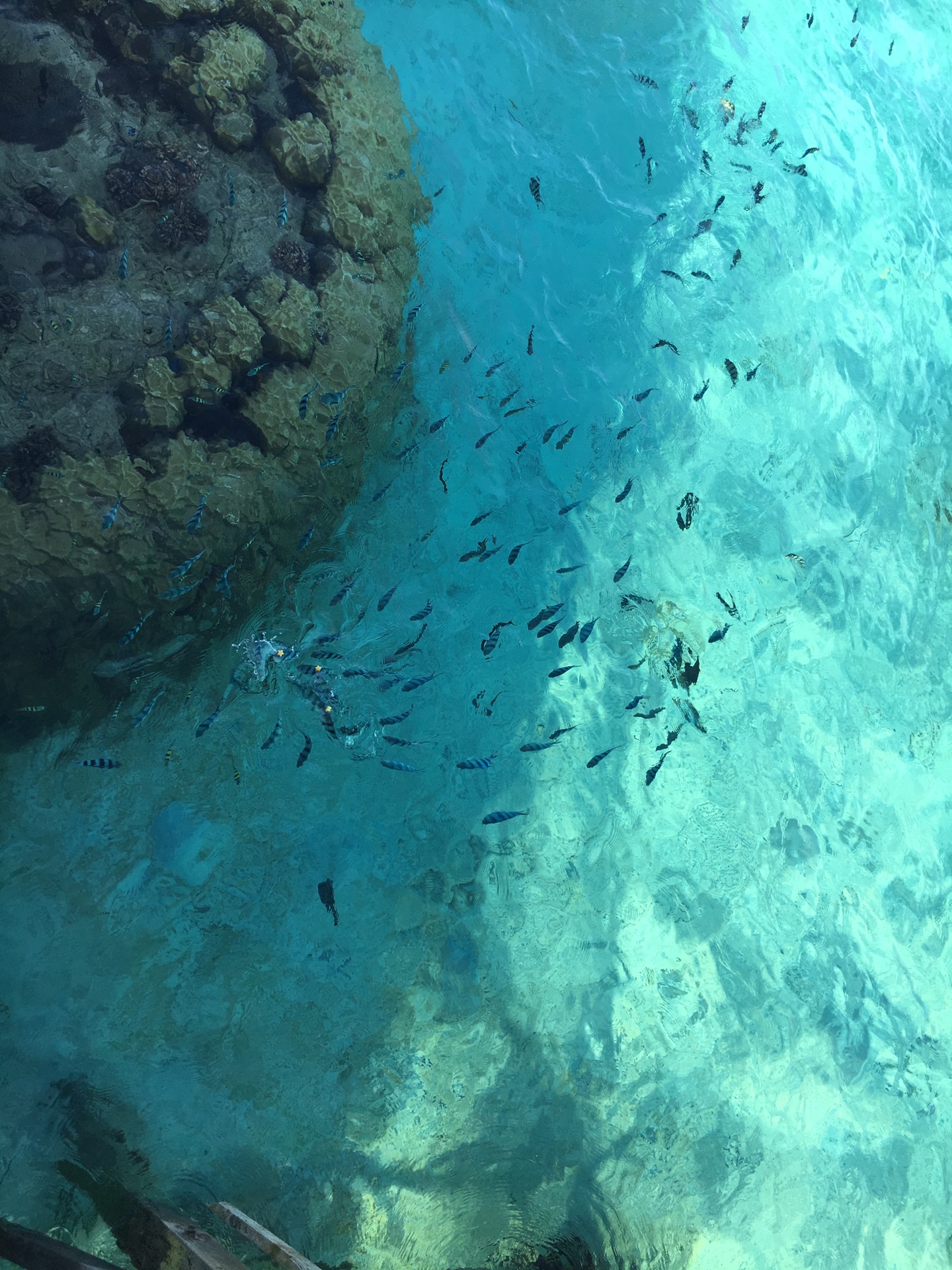 熱浪島自助遊攻略