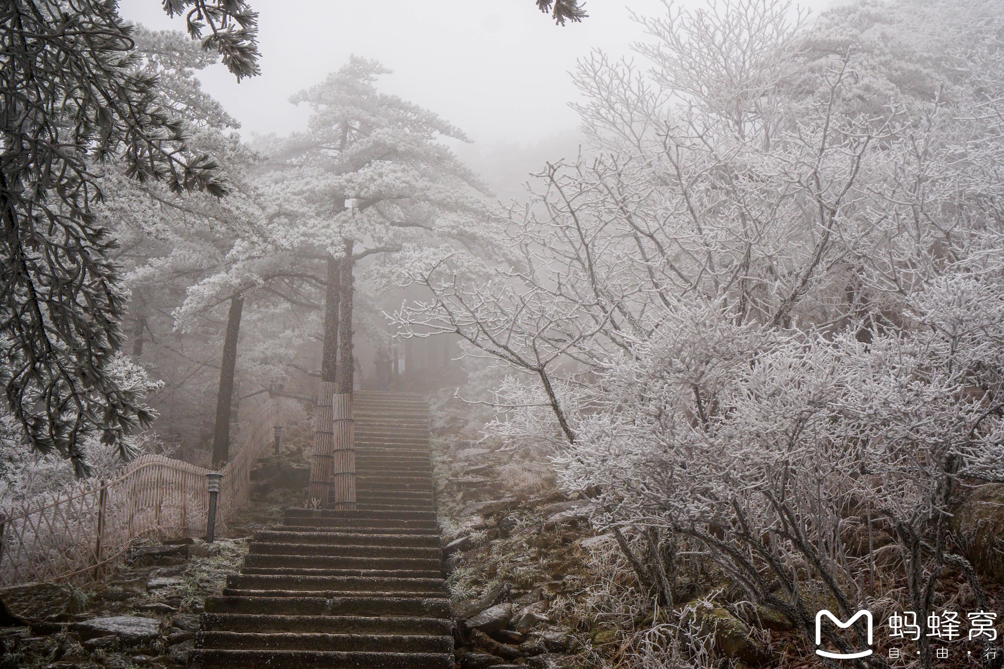 黃山自助遊攻略