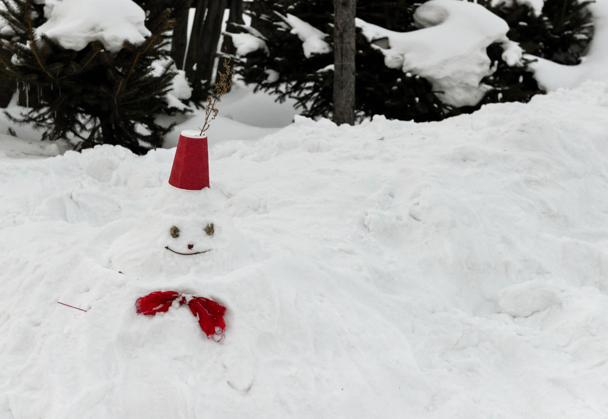 雪鄉自助遊攻略