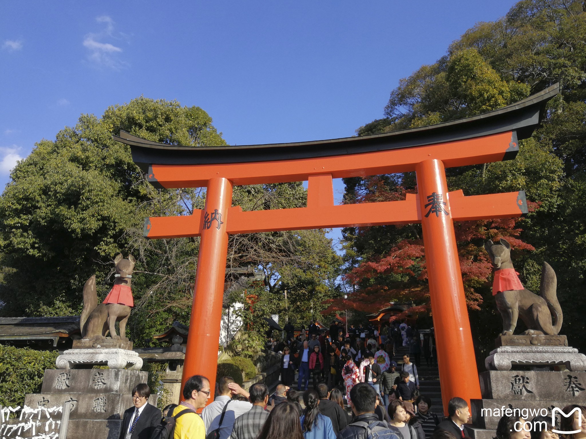 京都自助遊攻略