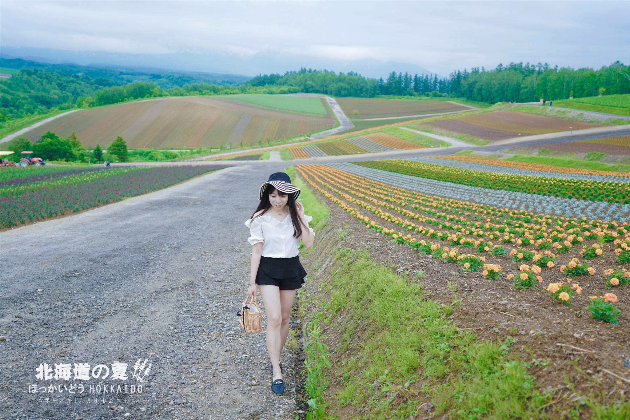 北海道自助遊攻略