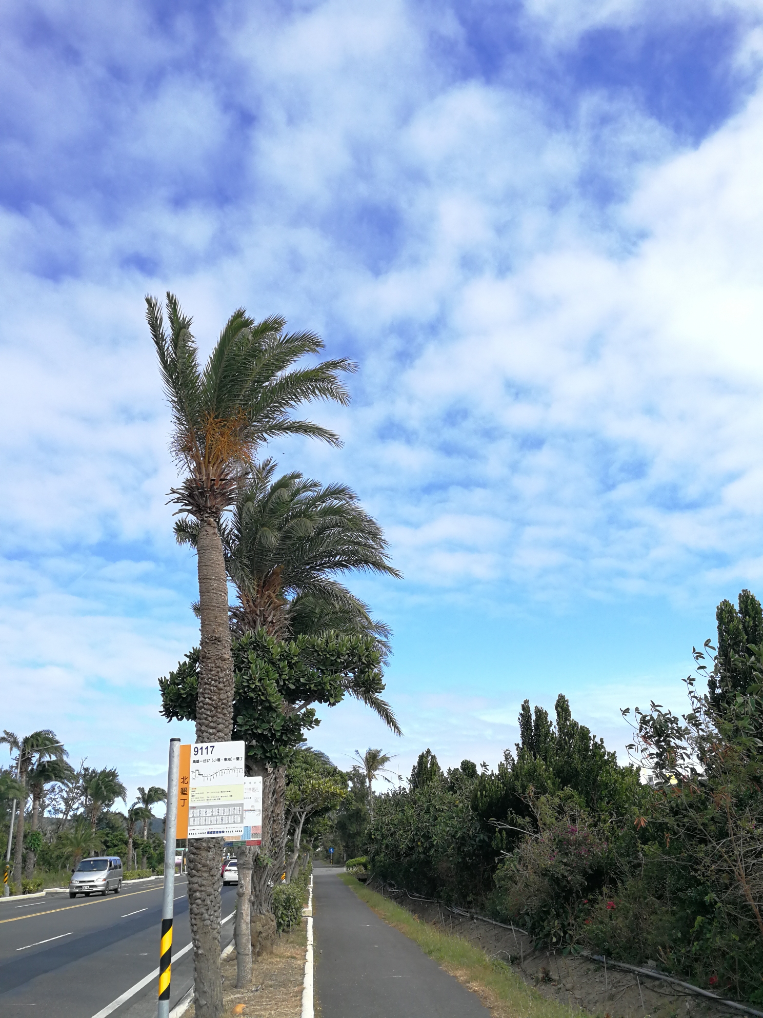 southward with love --记垦丁高雄的第一次旅行