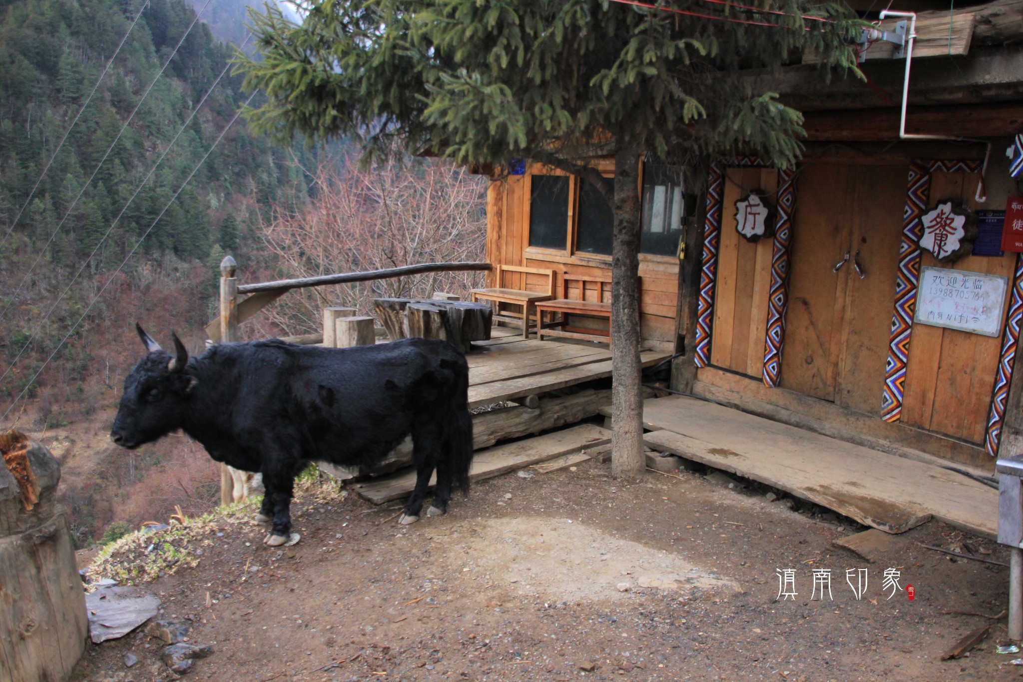 梅里雪山自助遊攻略