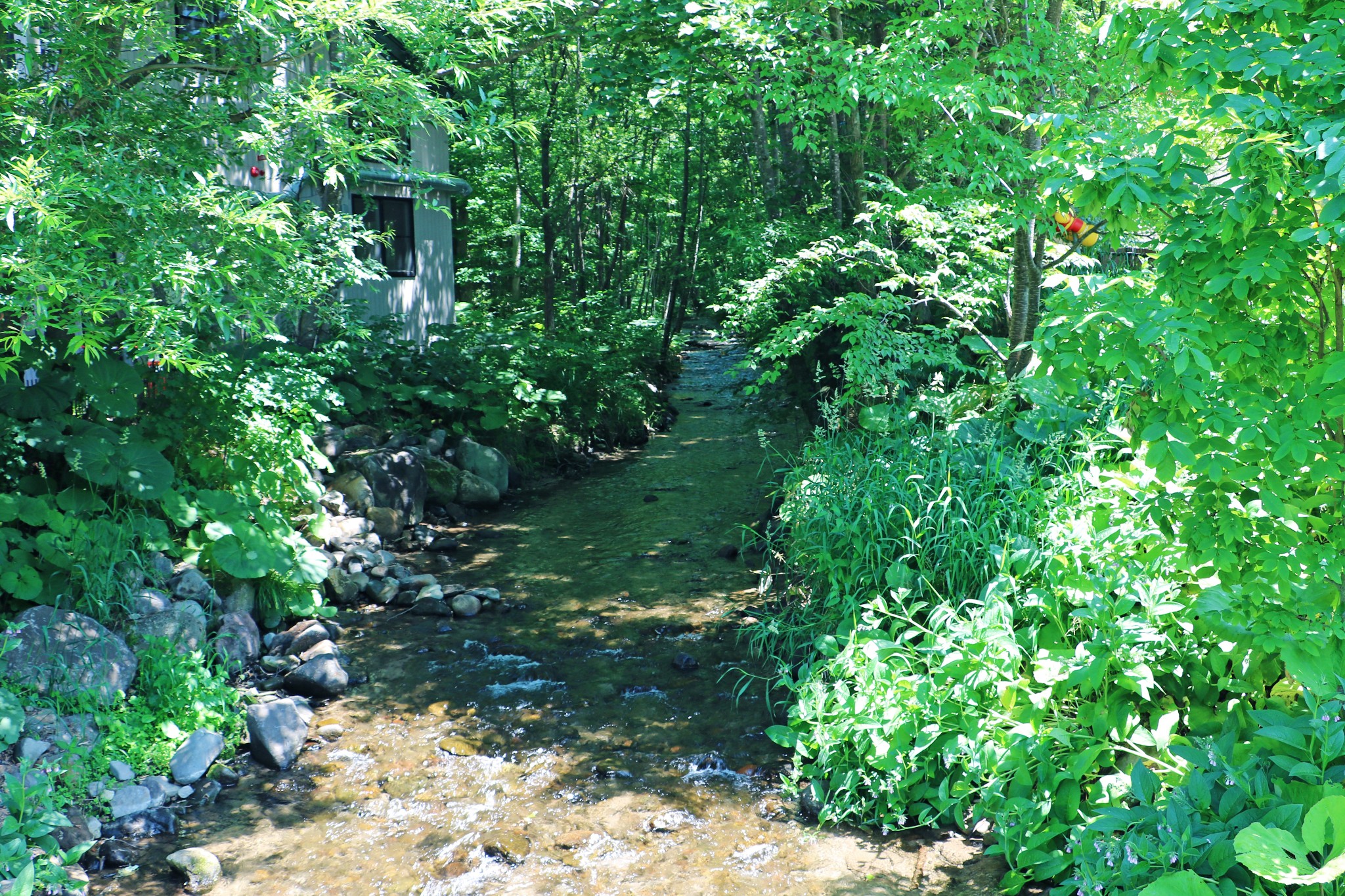 北海道自助遊攻略