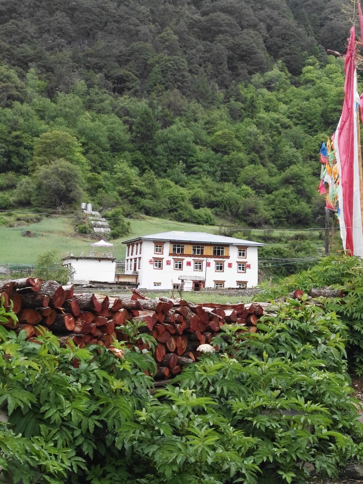 雨崩自助遊攻略