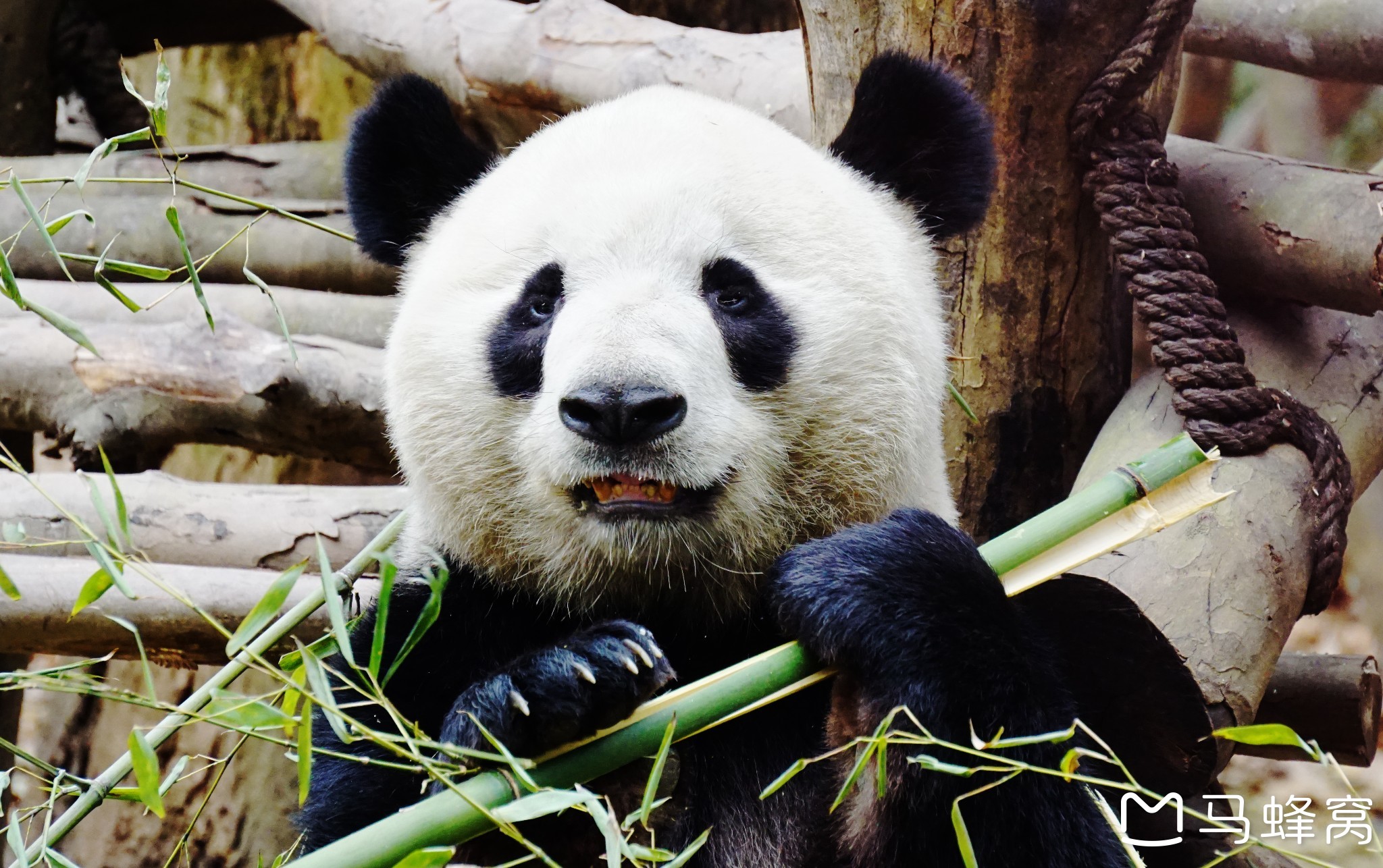 带上相机跟我一起出发,感受美食、美景。我和