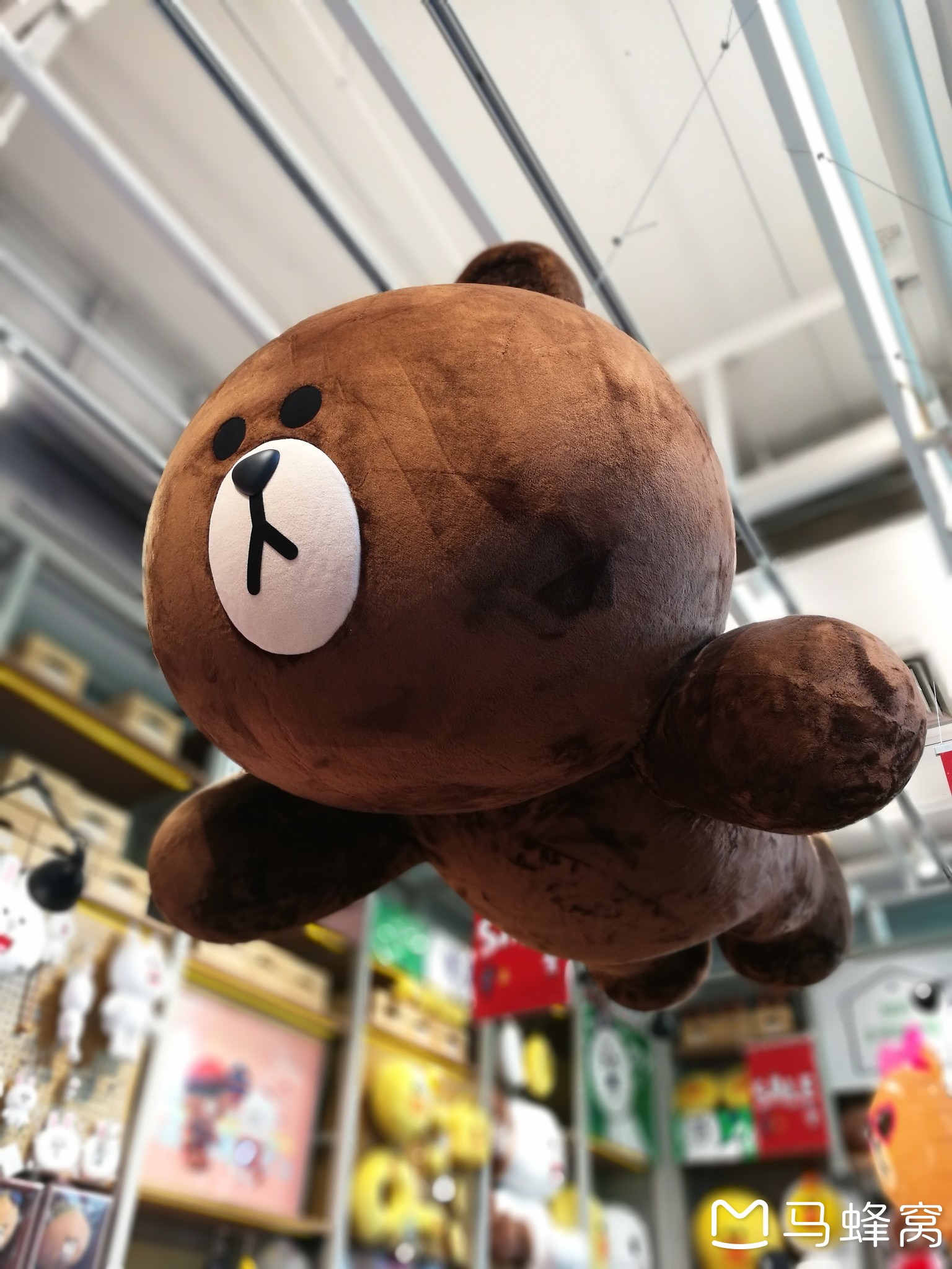 带上相机跟我一起出发,感受美食、美景。我和