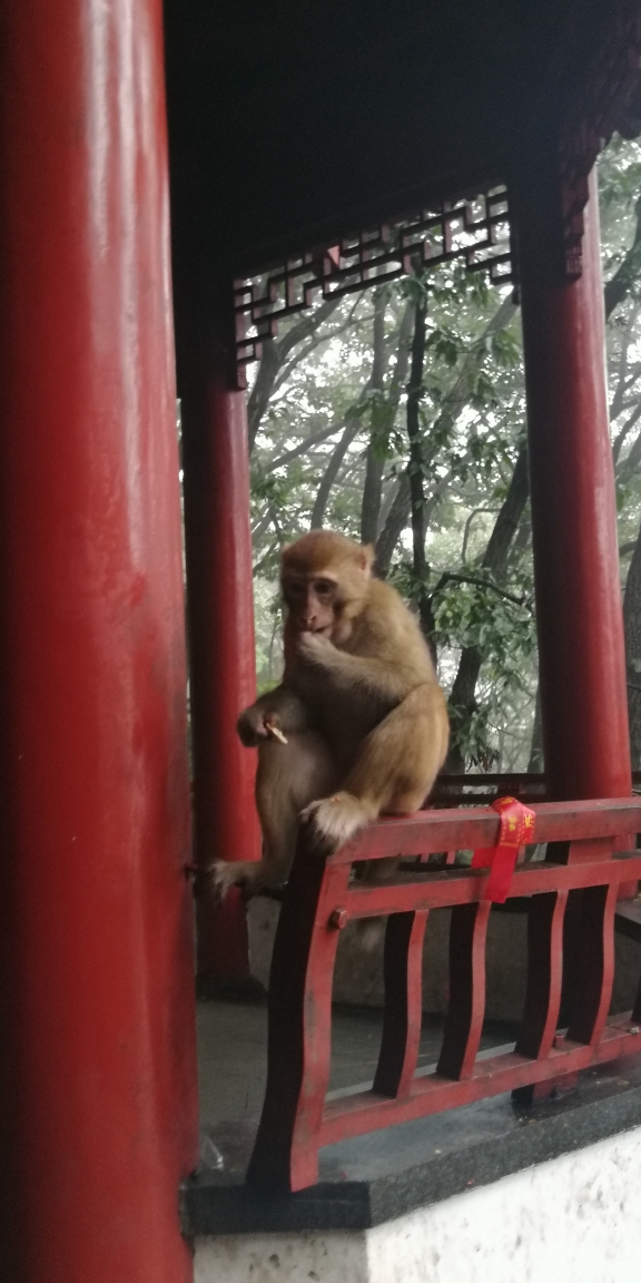 連雲港自助遊攻略