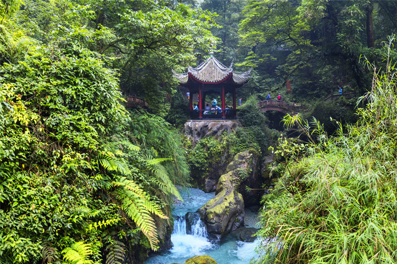 四川峨眉山风景区门票/赠峨眉山三十六坊商务茶饮套餐券/可供1-5人