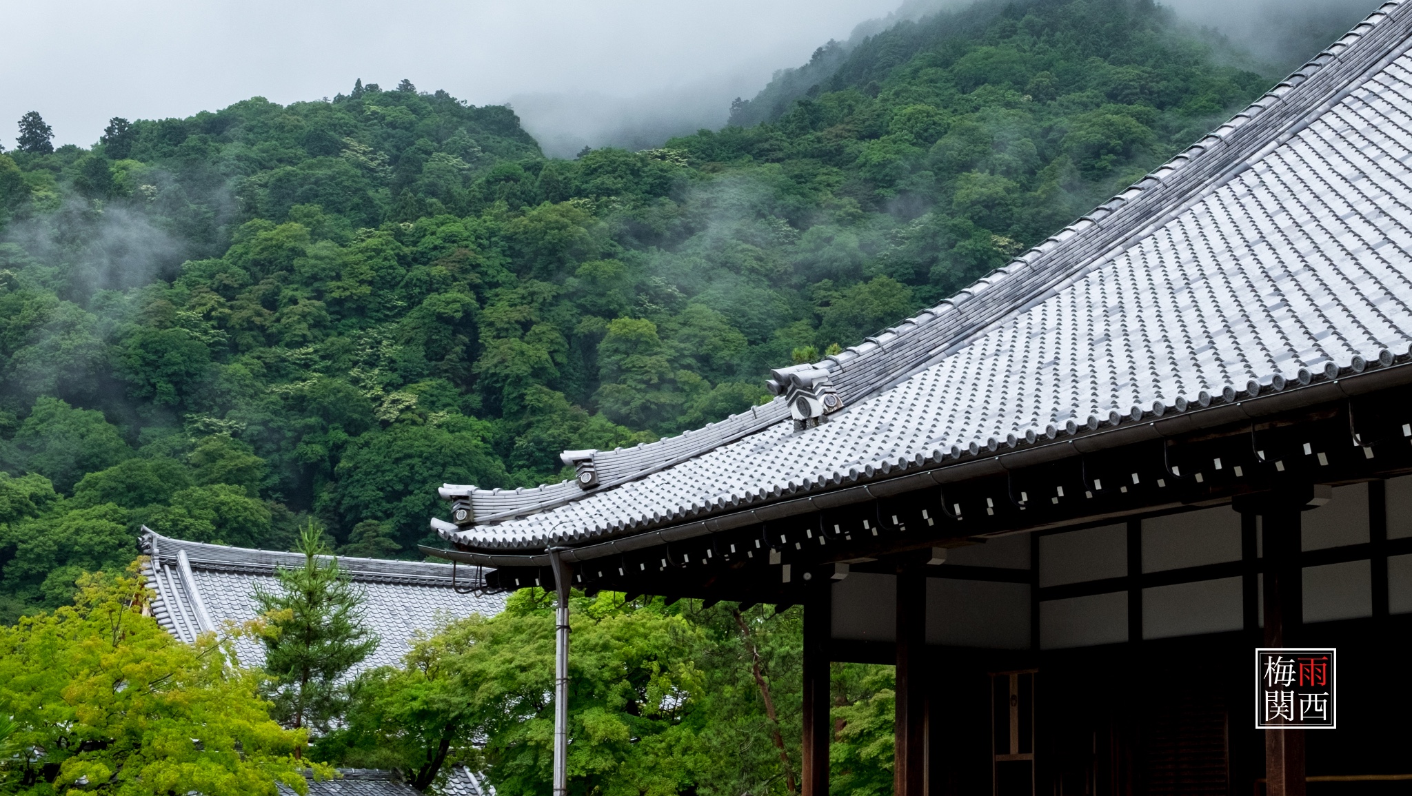 京都自助遊攻略