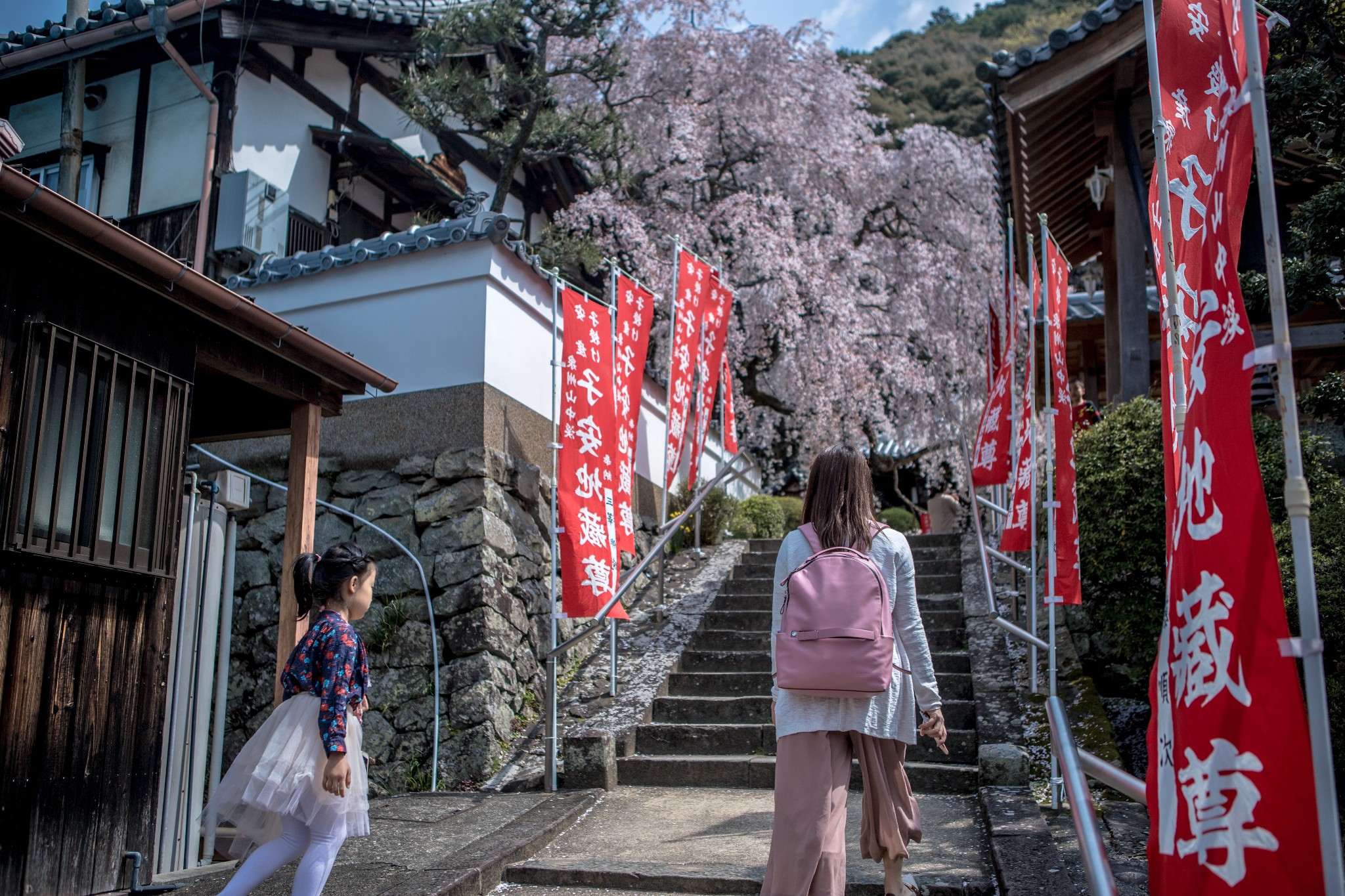 和歌山市自助遊攻略