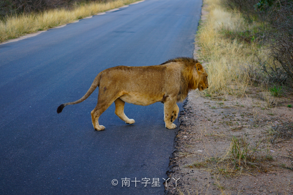 南非自助遊攻略