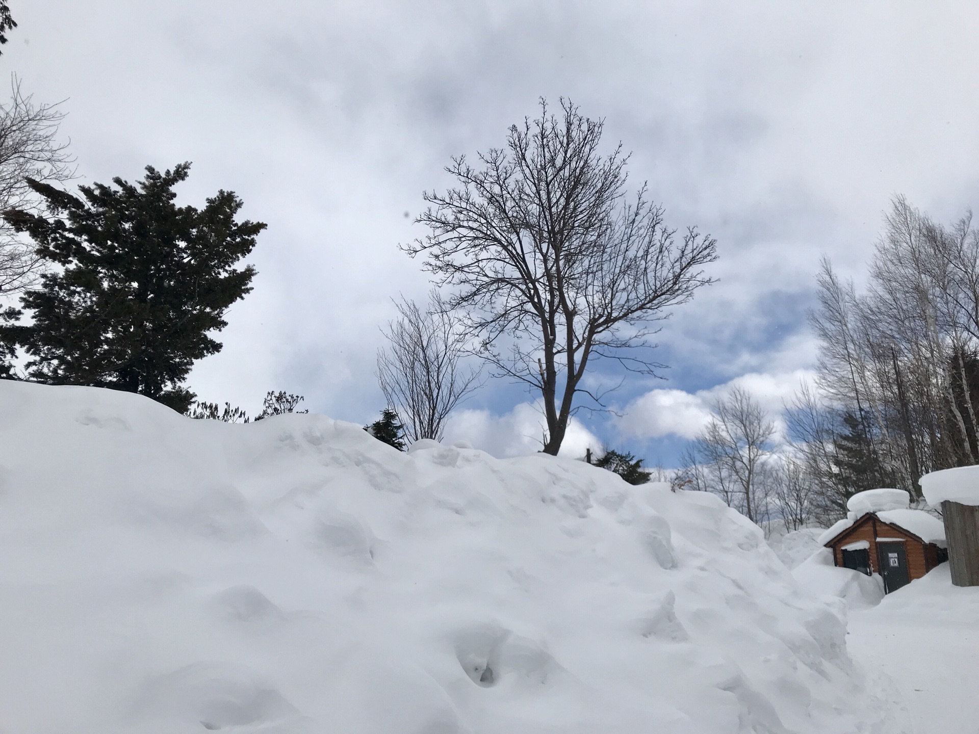 北海道自助遊攻略