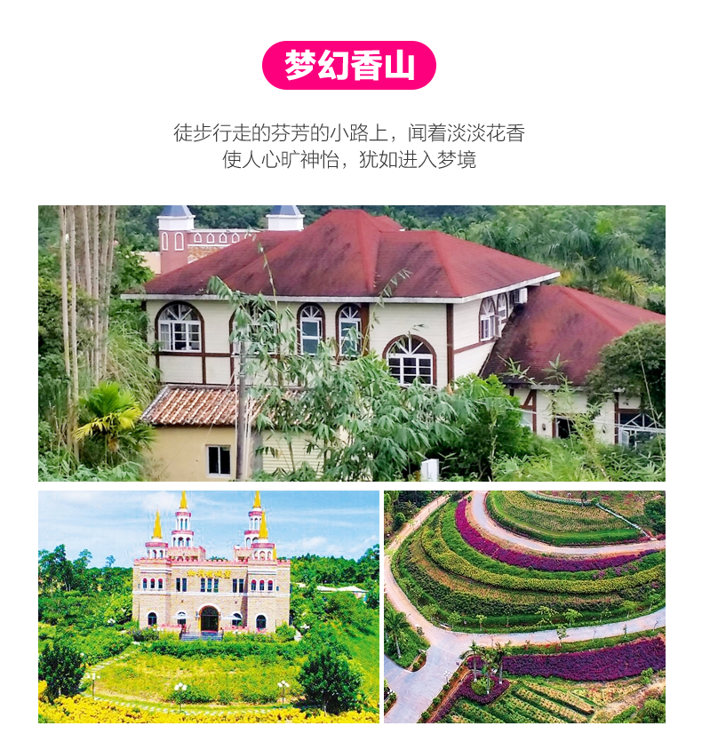 屯昌村人口_屯昌的枫木村的图片