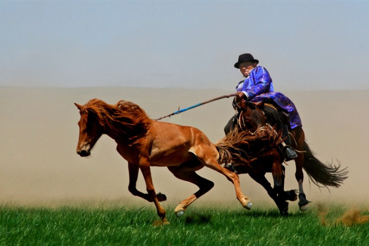 快马扬鞭 沙漠里尽情的撒欢 含景区首道门票 感受一代英雄的丰功伟绩