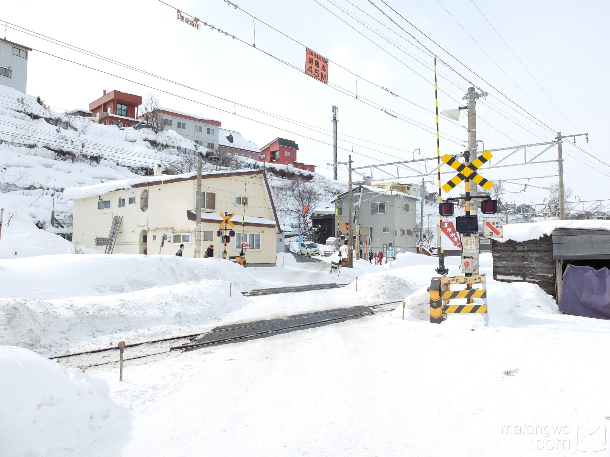 北海道自助遊攻略