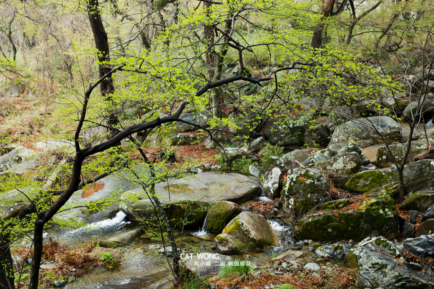 釜山自助遊攻略