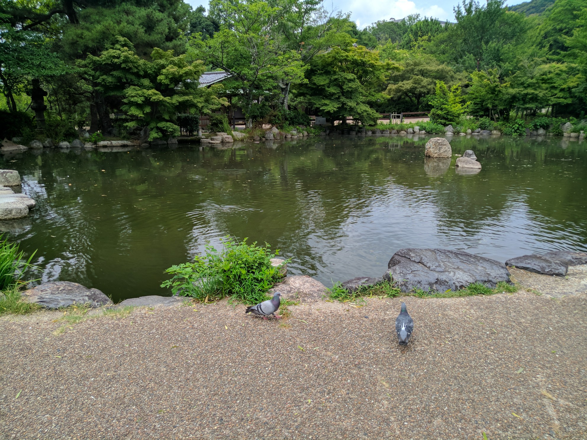 京都自助遊攻略