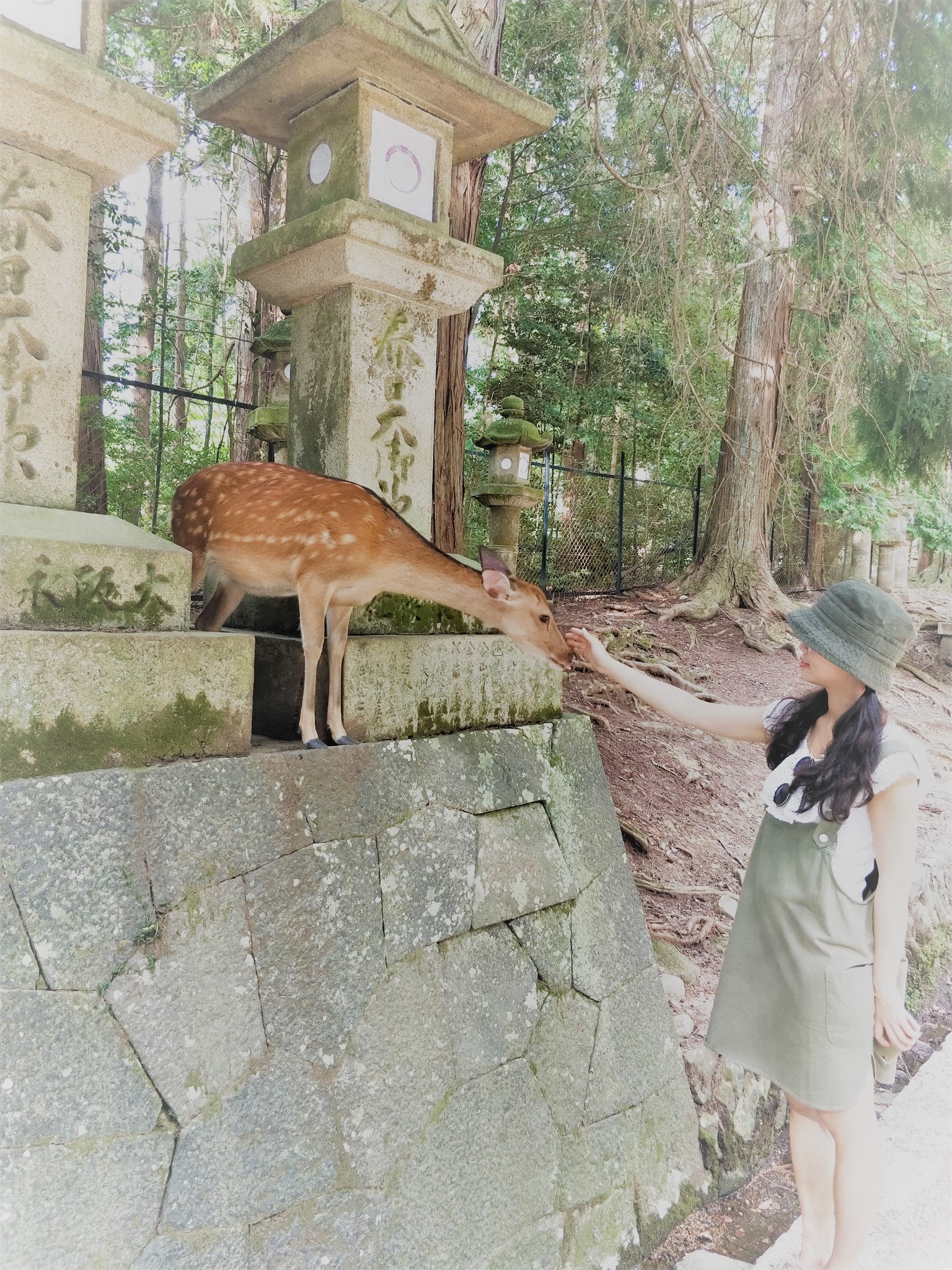 日本自助遊攻略