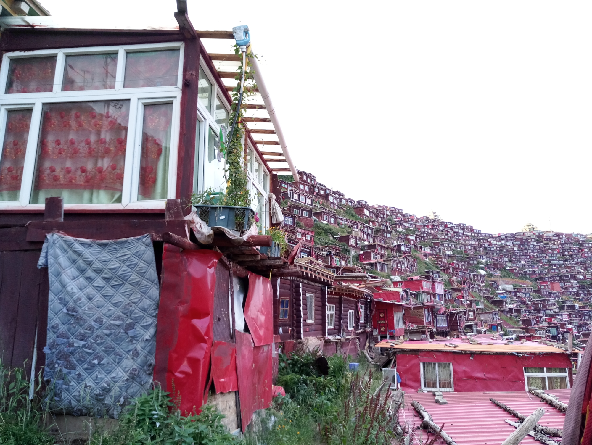 丙察察的天堂和地狱之旅—只为寻找我们的诗和远方
