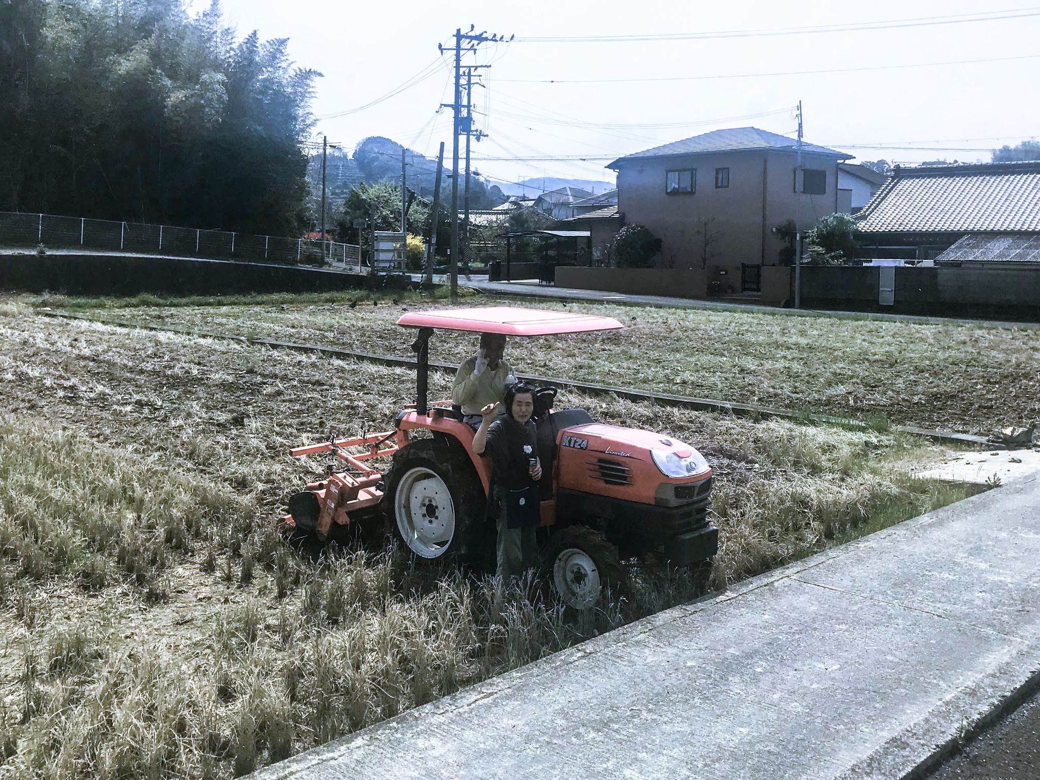 和歌山市自助遊攻略