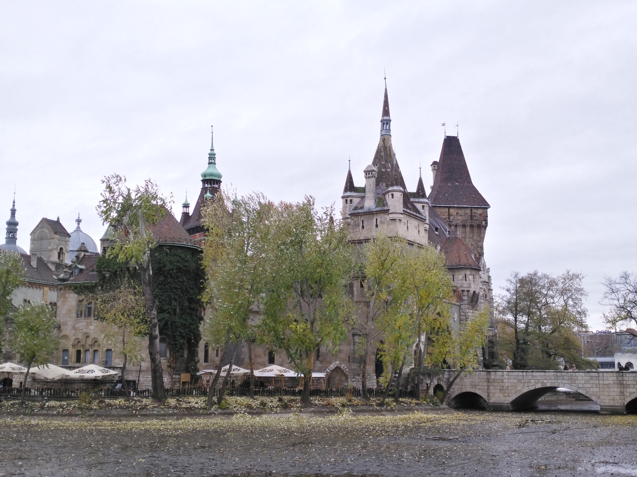 佩斯排名_李·佩斯(2)