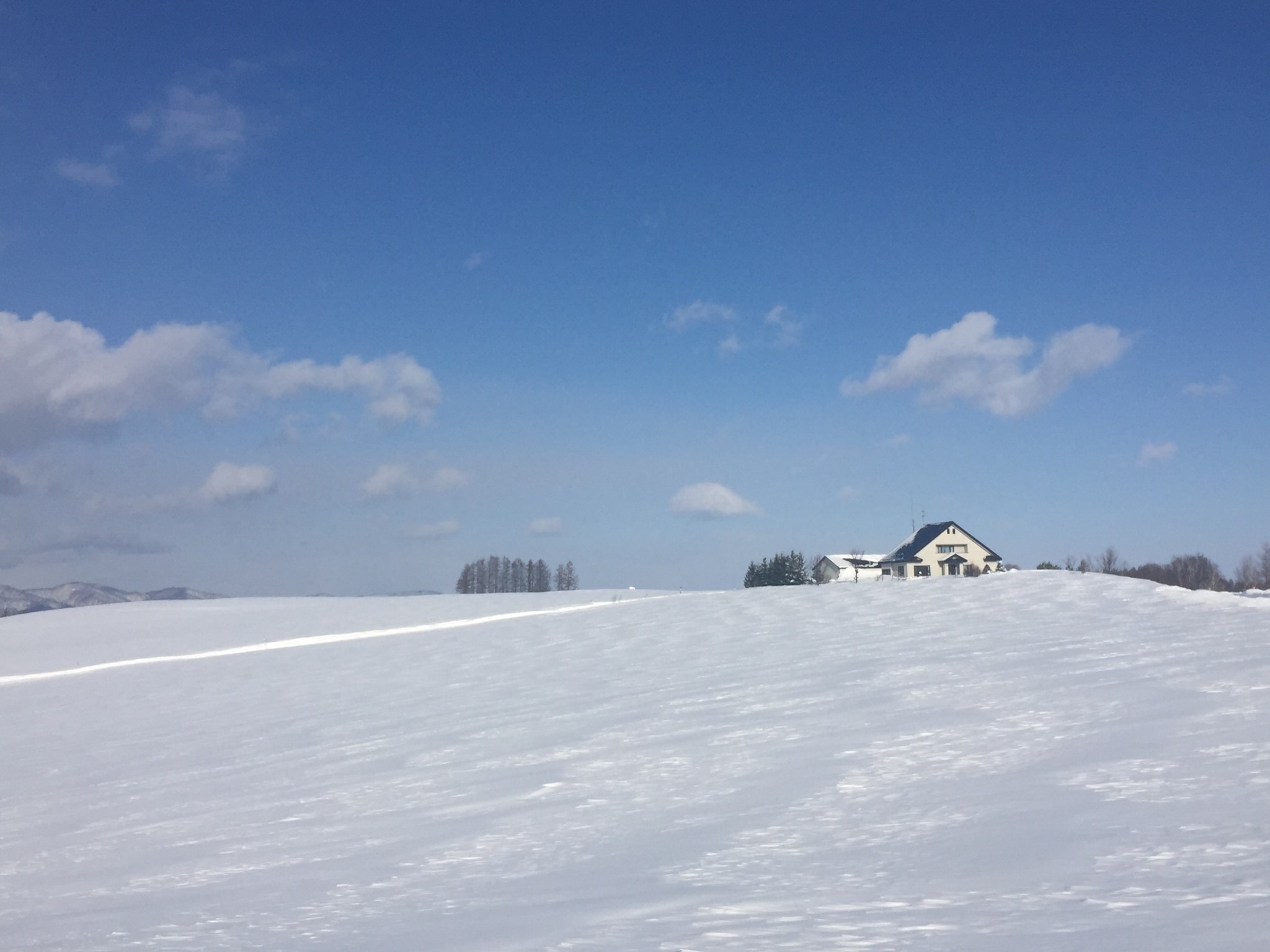 北海道自助遊攻略