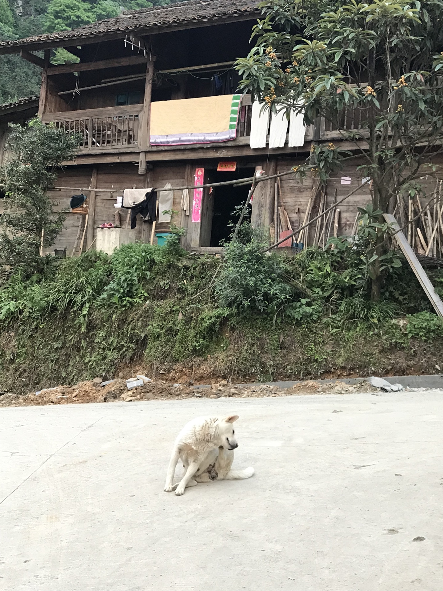 怎雷村的人口_人口普查