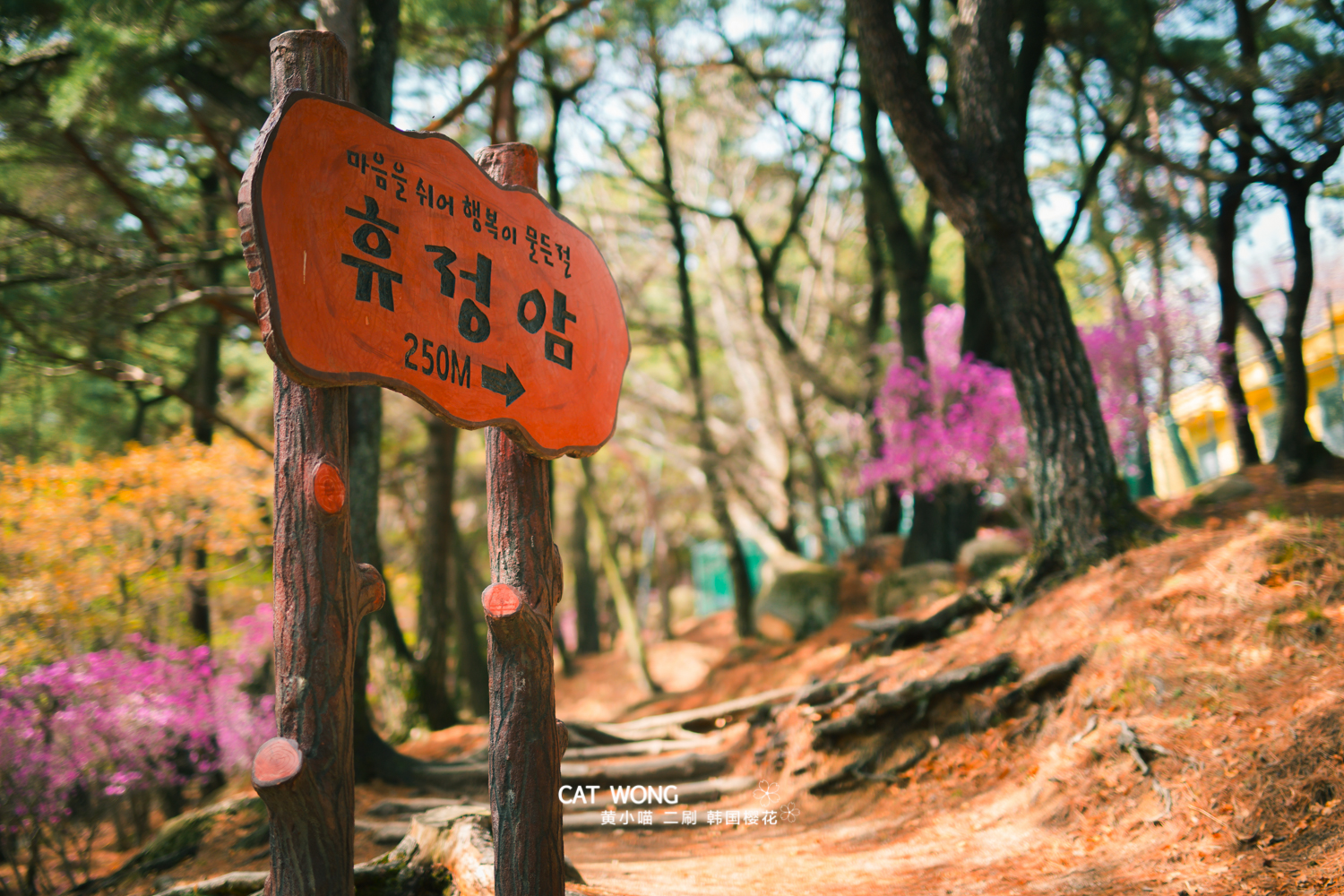 釜山自助遊攻略