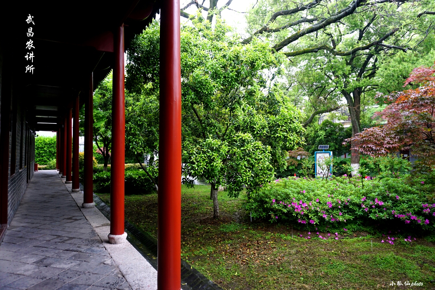 走进武昌红巷,寻访红色记忆--武汉游记--马蜂窝