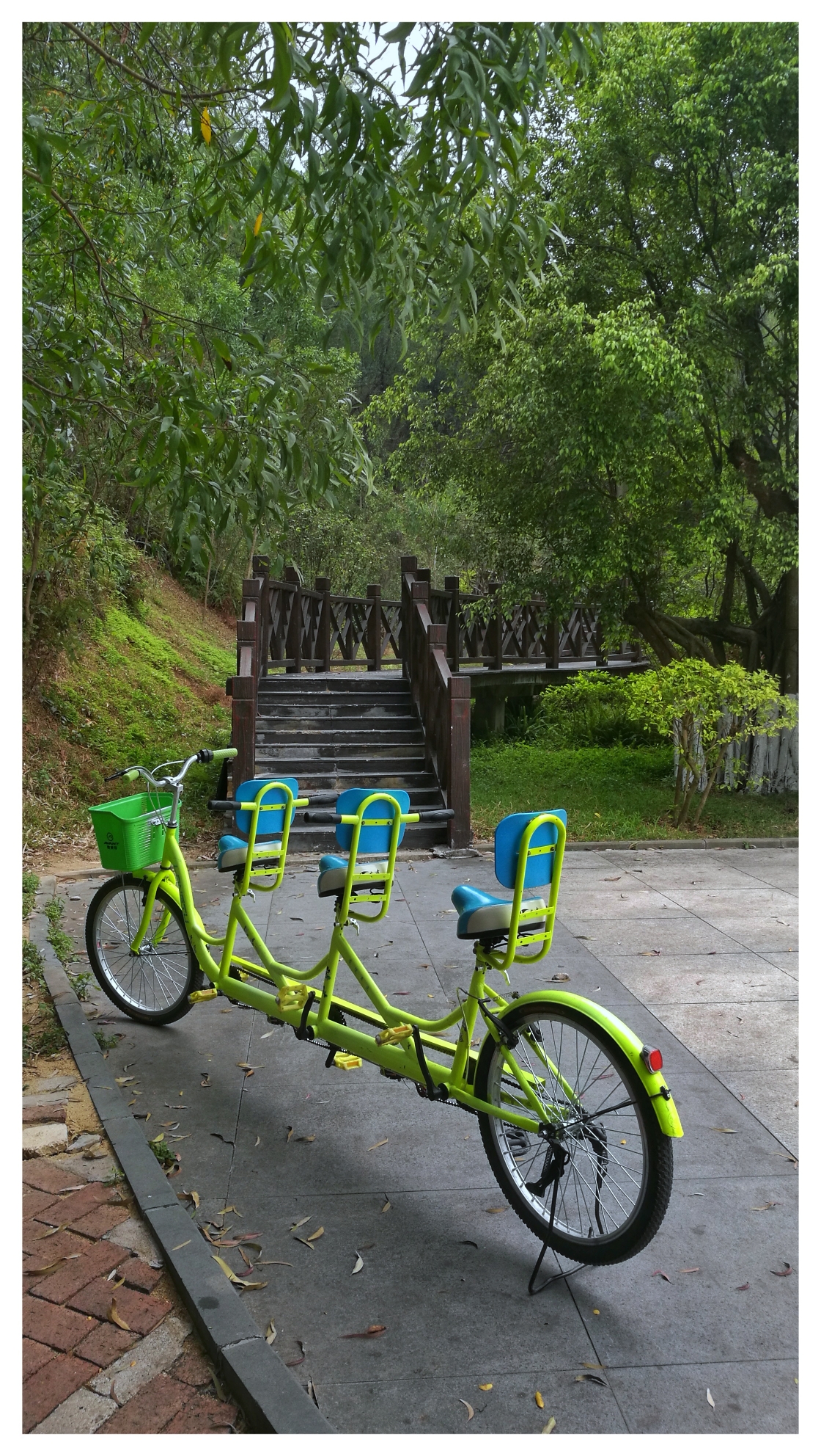 回复游记:大夫山森林公园……广州的城市之肺