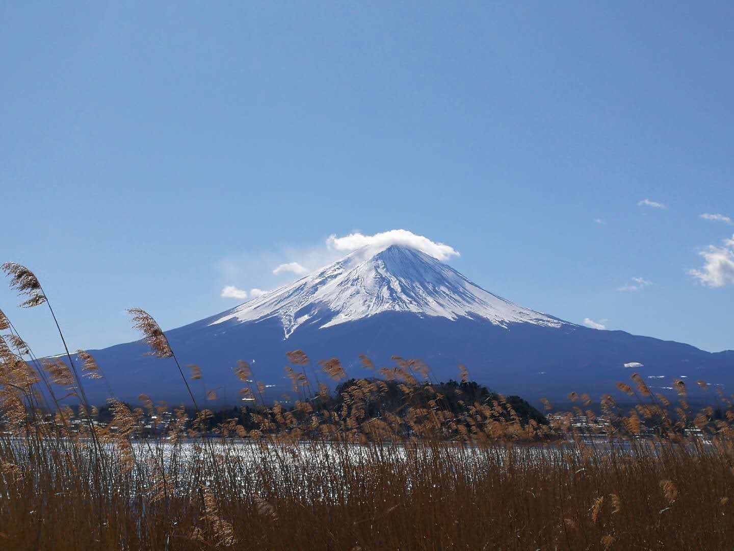 富士山自助遊攻略