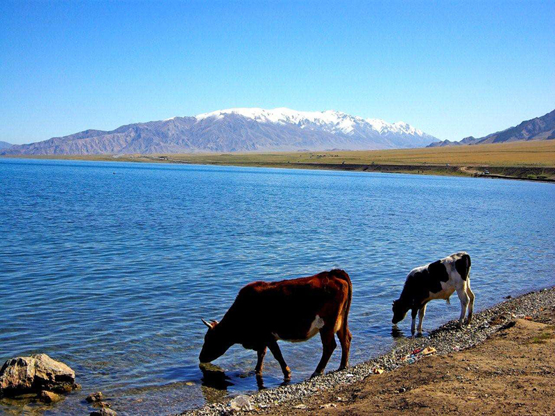 wKgBEFp6ey2Ab3RIAAeKJreI_Z416.jpeg?imageView2%2F2%2Fw%2F510%2Fh%2F8000%2Fq%2F100