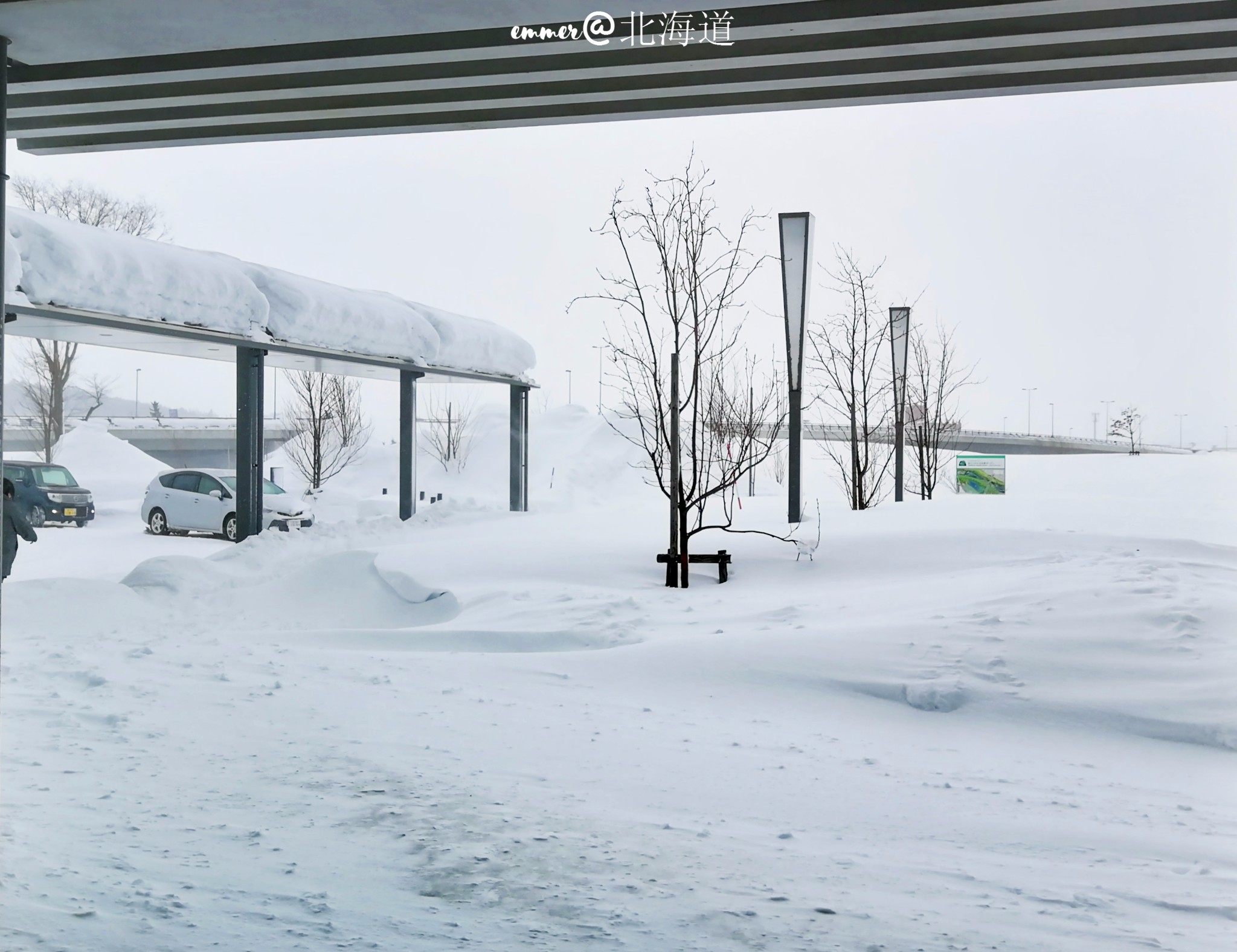 北海道自助遊攻略