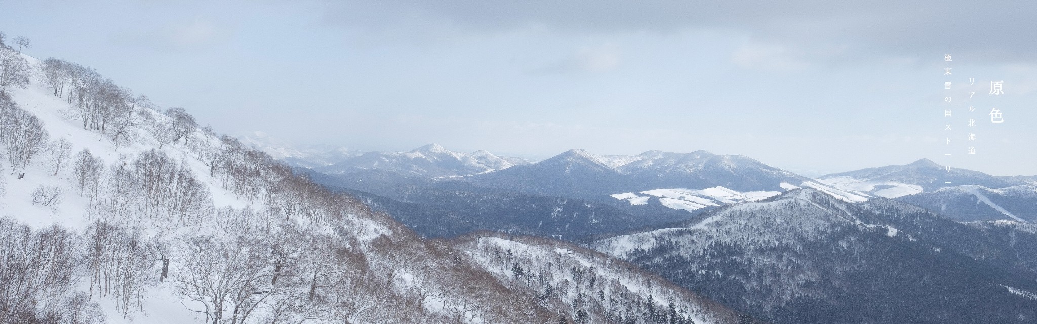 北海道自助遊攻略