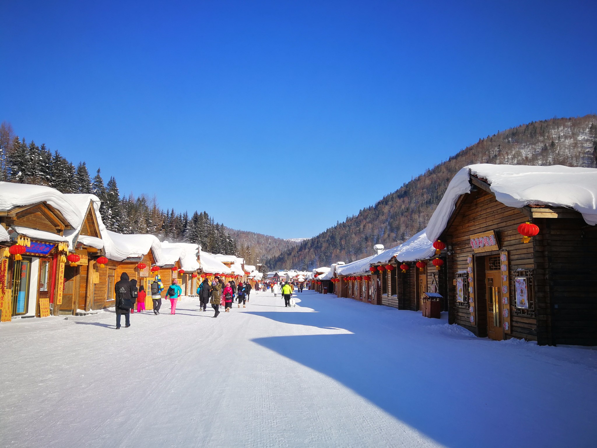 雪鄉自助遊攻略