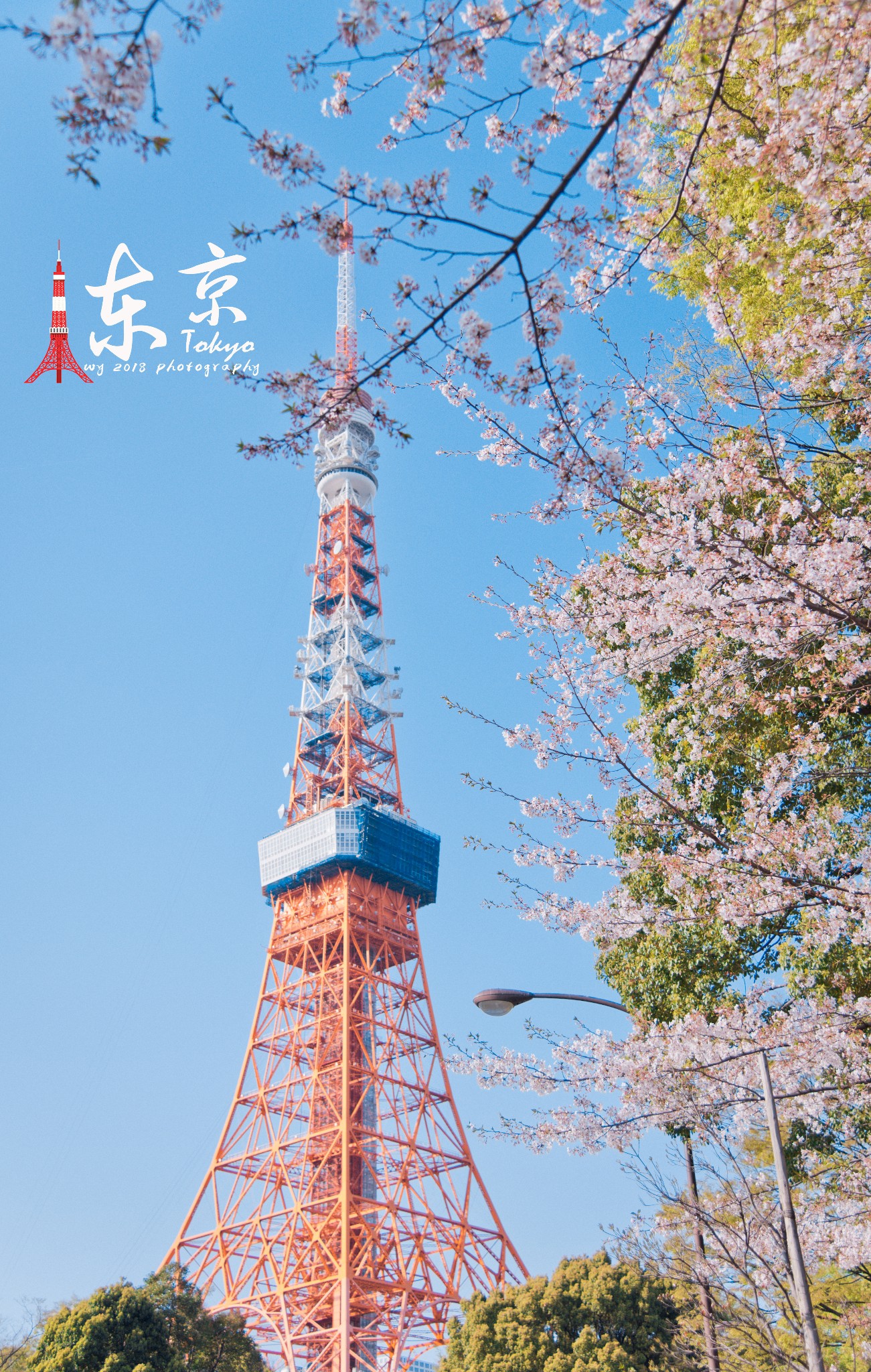 关东关西的樱花季雨(多图 赏樱攻略)图片556,日本旅游景点,风景名胜