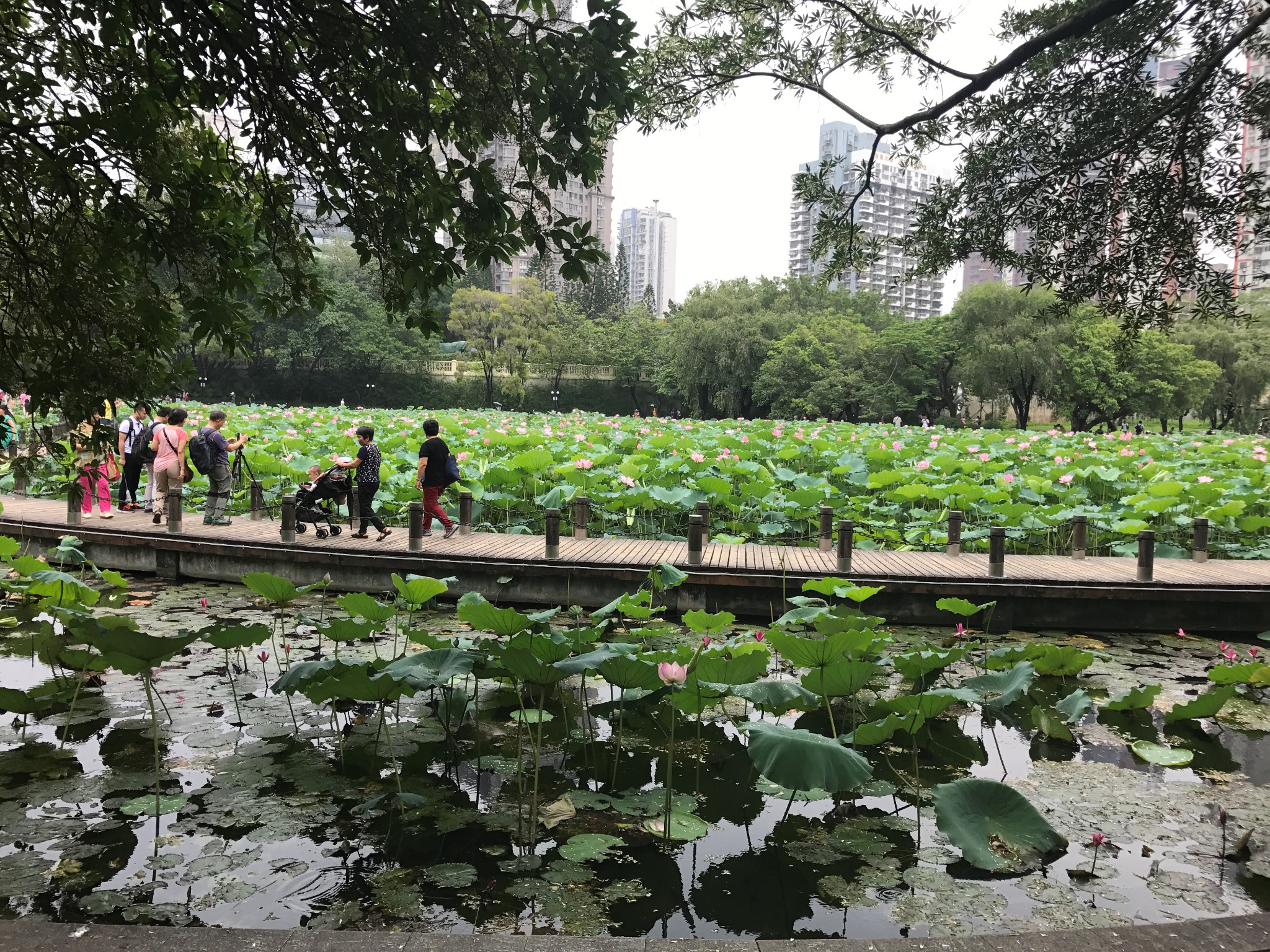 深圳自助遊攻略