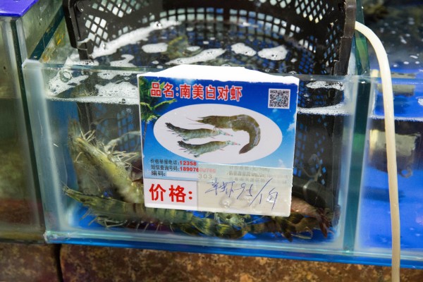 漫游三亚-遇见网