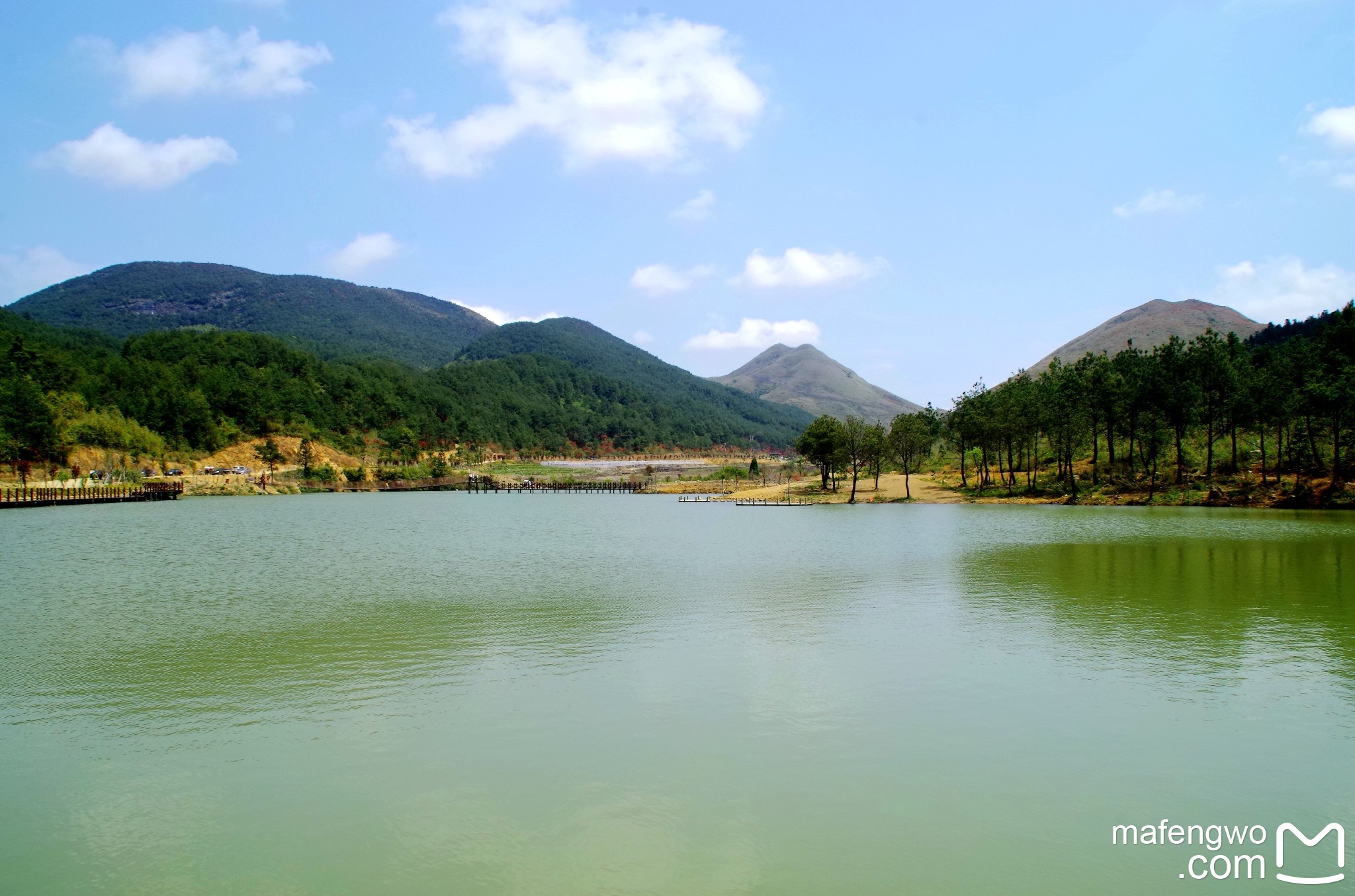 回复游记:一路山花不负侬 一园红艳醉坡陀——古田白溪赏杜鹃花记