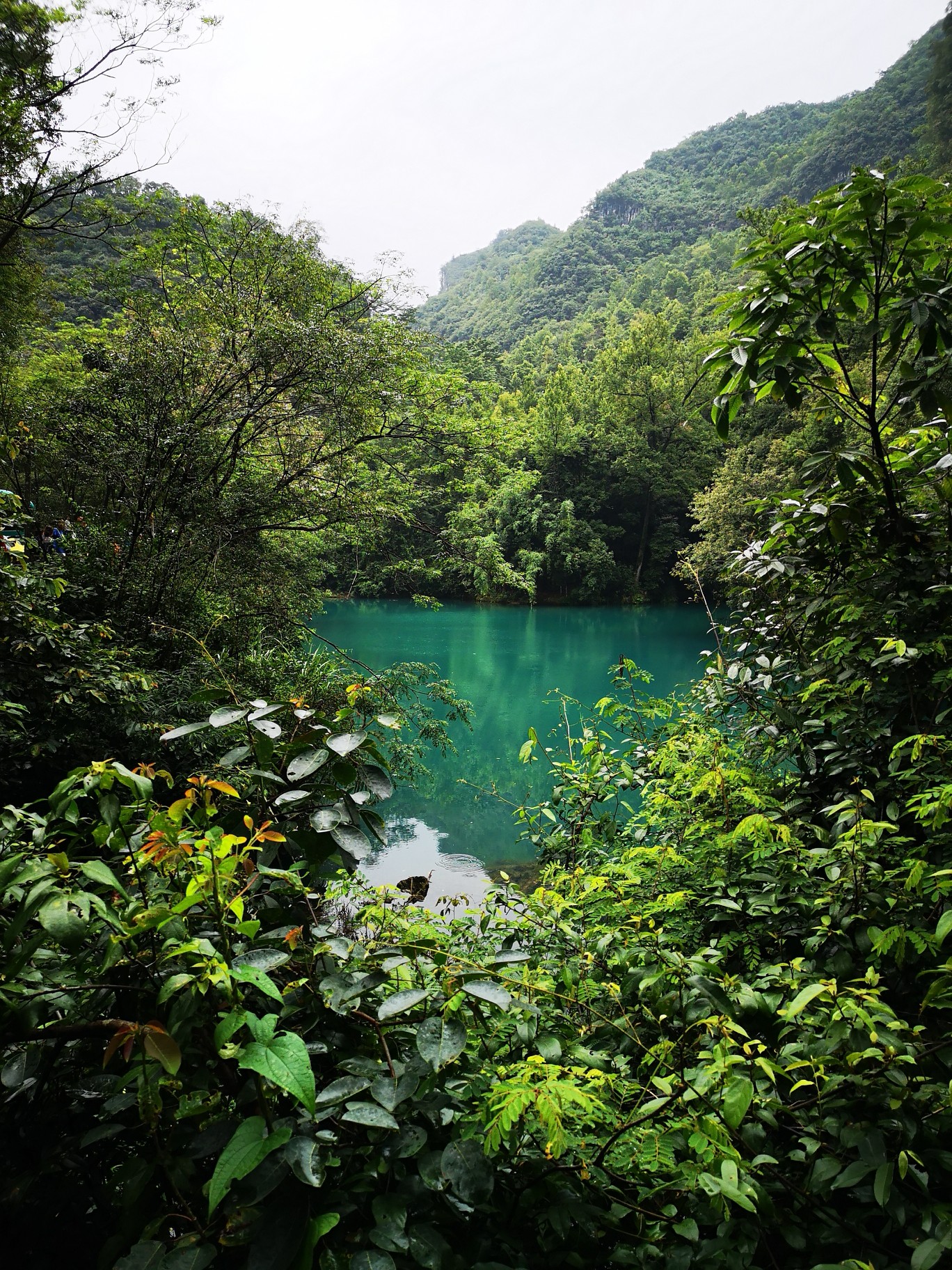 荔波自助遊攻略