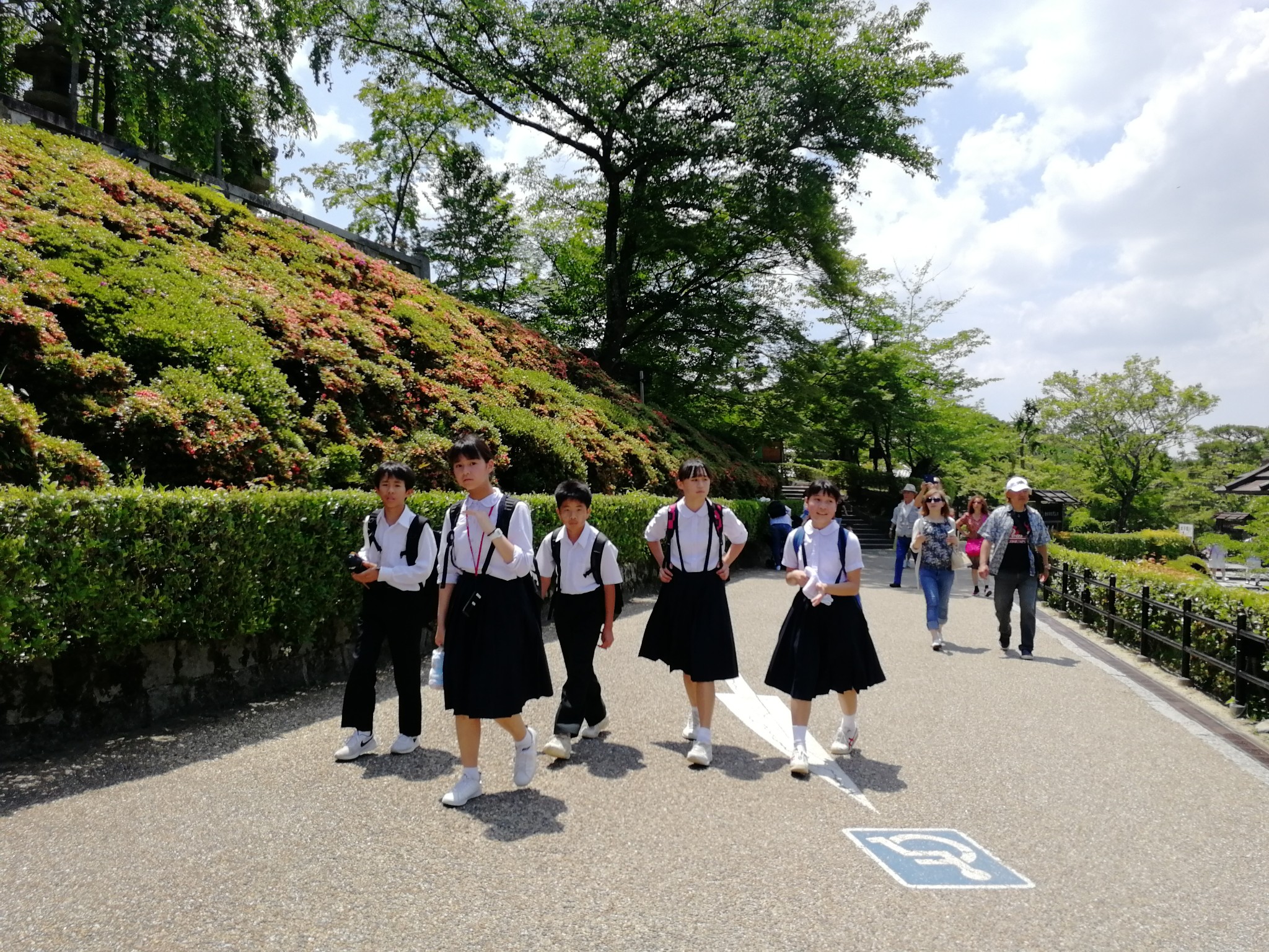 京都自助遊攻略