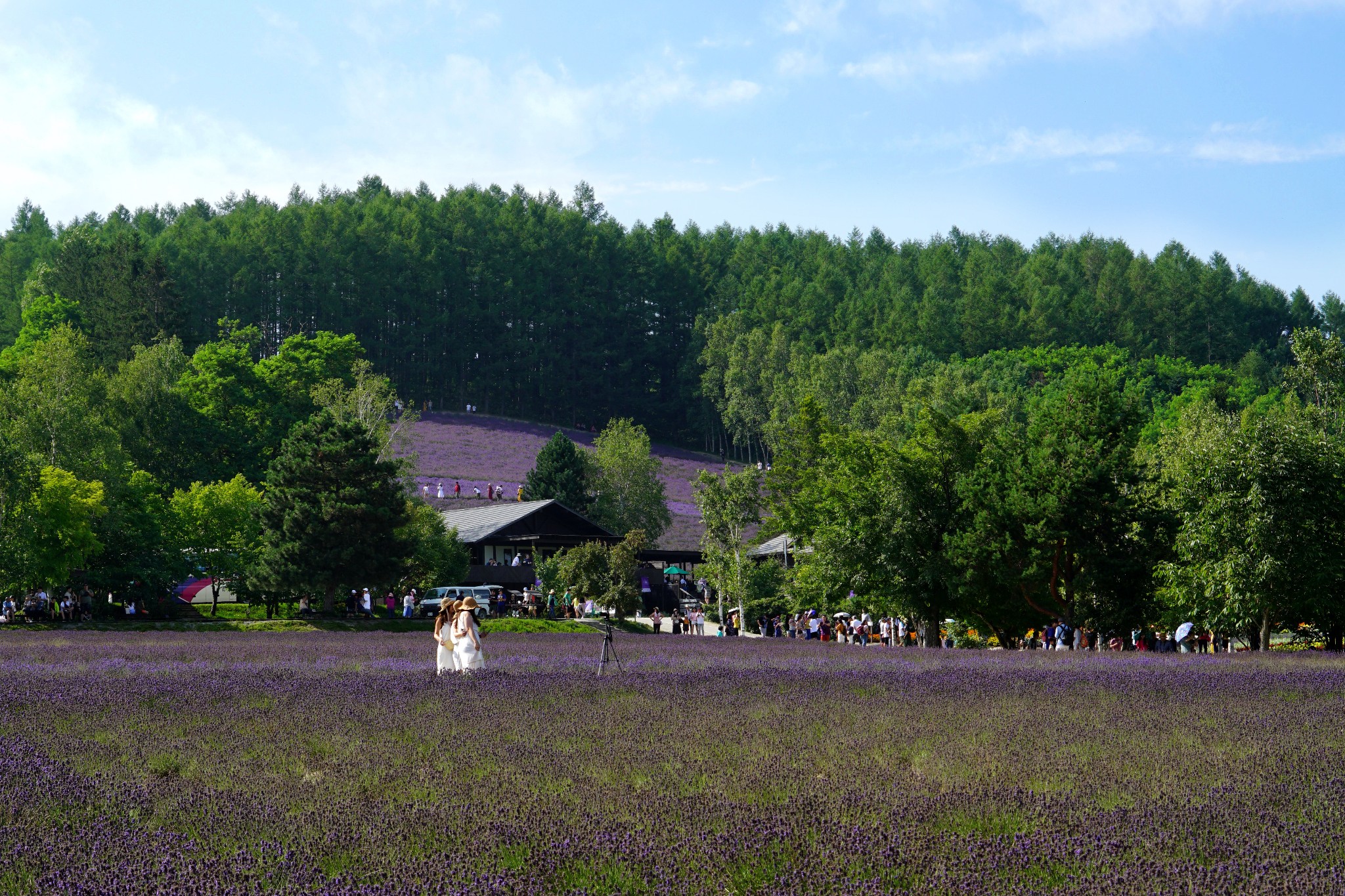 北海道自助遊攻略