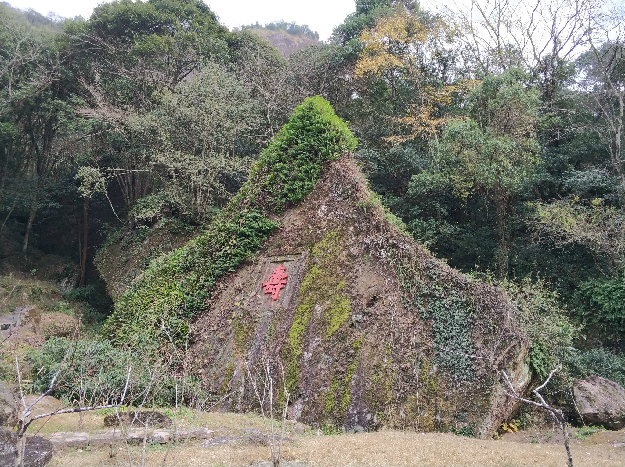 武夷山自助遊攻略