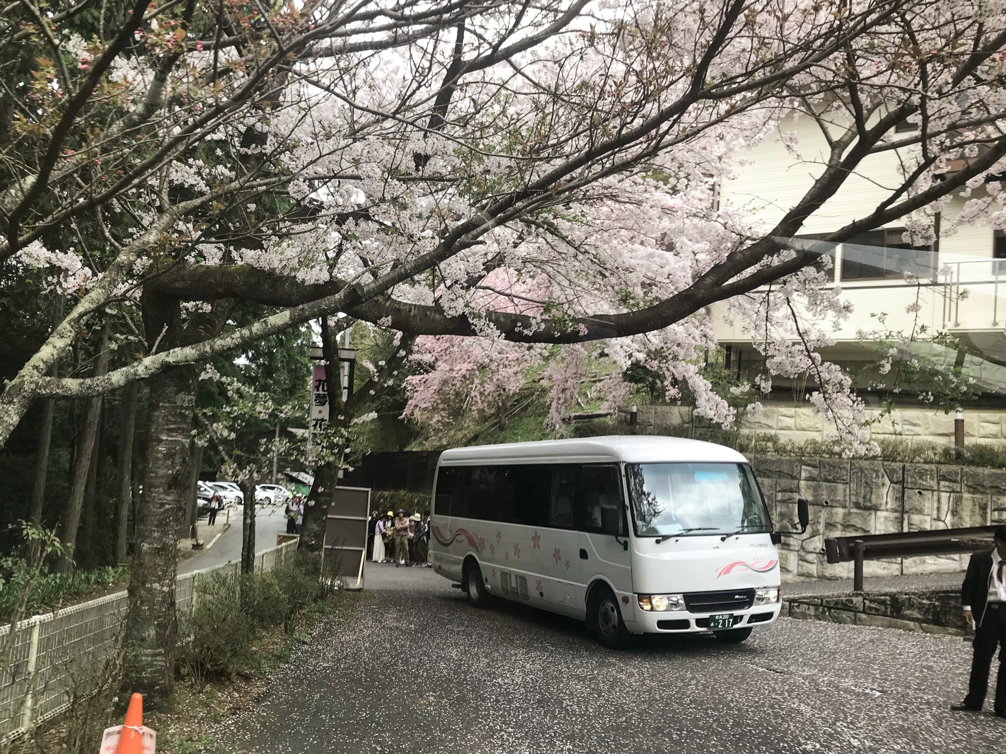 和歌山市自助遊攻略